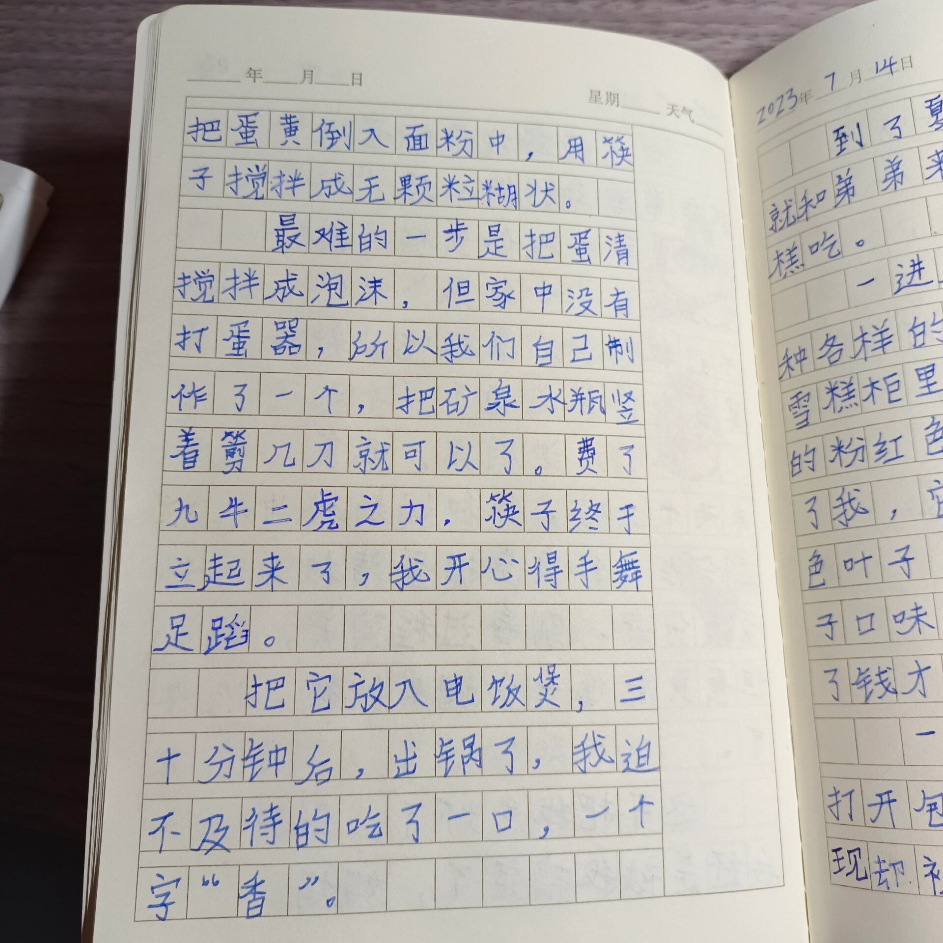 生活日记300字日常生活图片