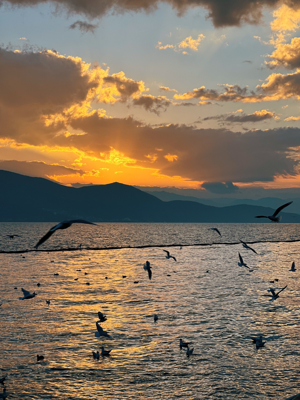 谁说s弯人挤人75157515独享s弯洱海日出,附攻略 去大理之前就