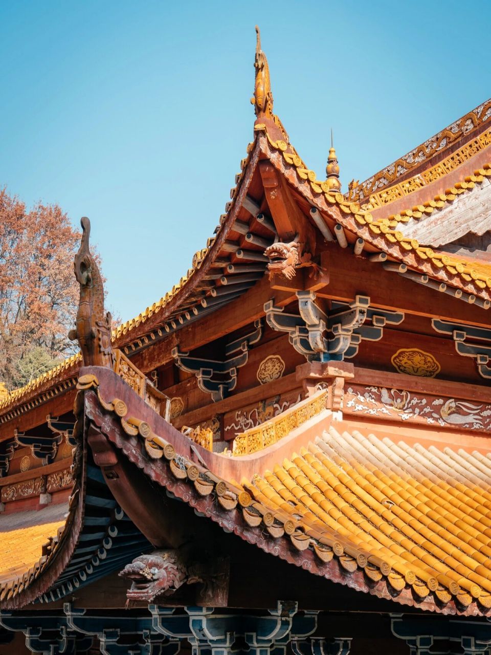长沙岳麓行之「古麓山寺」 古麓山寺,是位于岳麓山山腰的一座寺庙