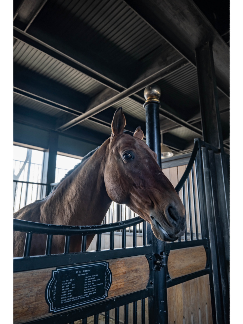 野馬古生態園 如果你對馬文化有著濃厚興趣,亦或者想在節假日感受