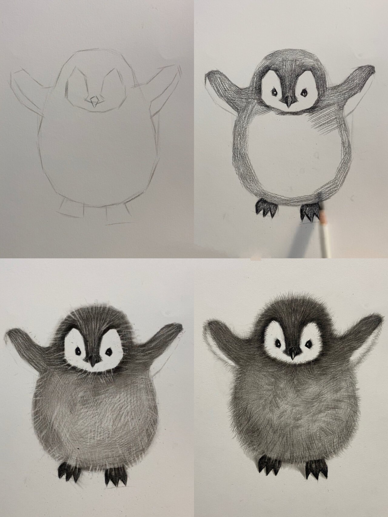 素描动物教学(企鹅篇)附详细过程图