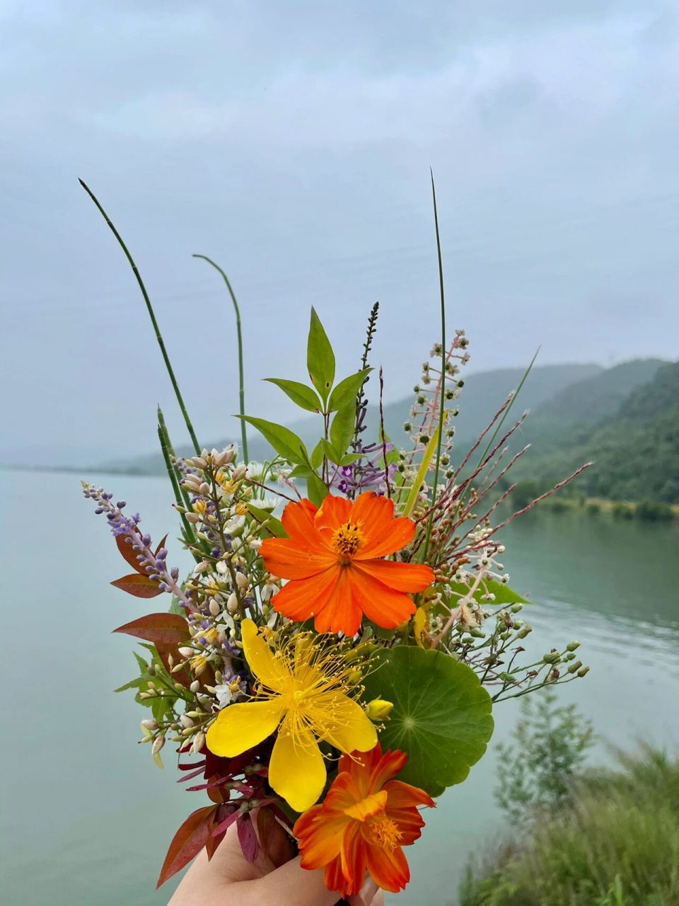 田间地头触手可得的野花野草做一束漂亮花束