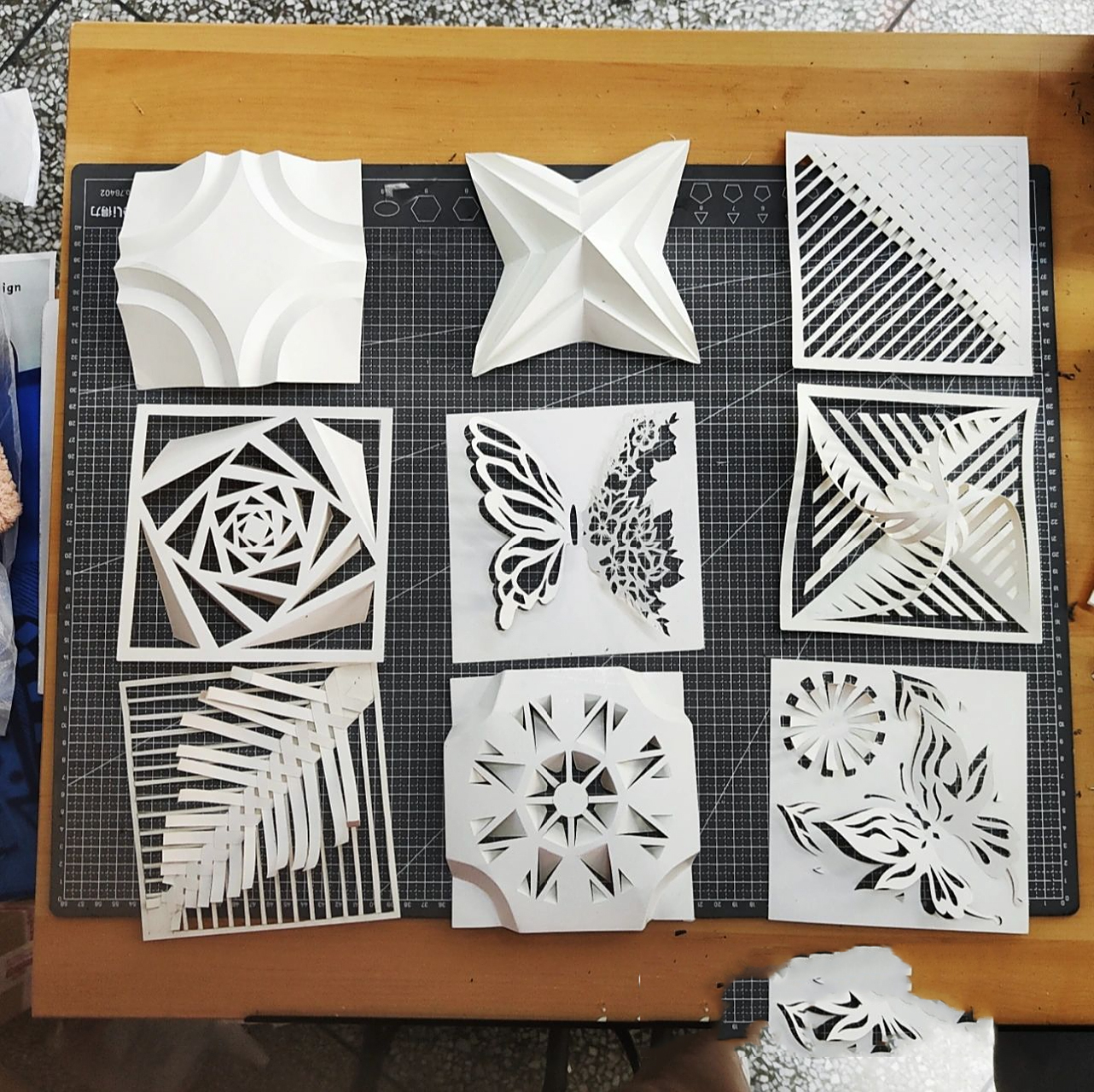 半立体构成——蝴蝶元素|建筑大一|折纸作业 hello宝贝们|!