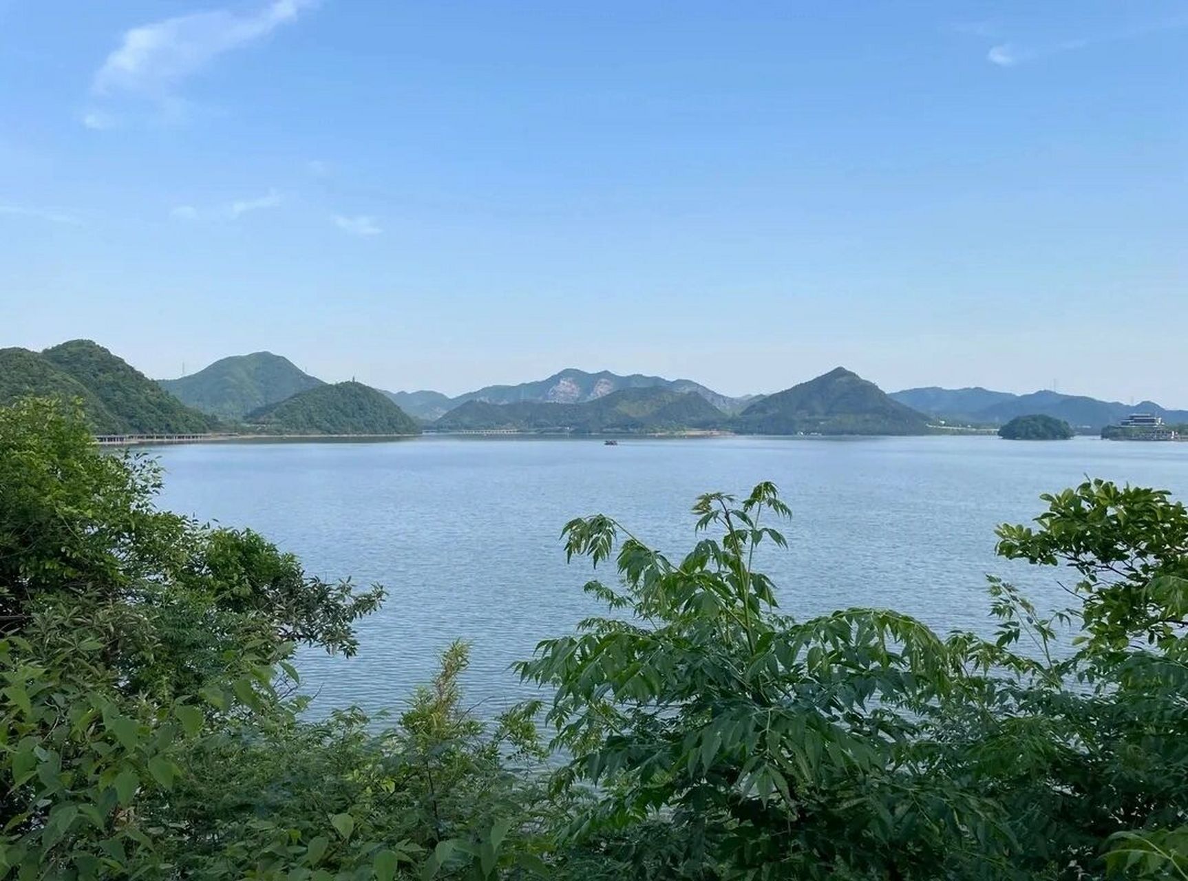 青山湖水上森林98|攻略看这一篇就够了75  	 02简介: 	 93