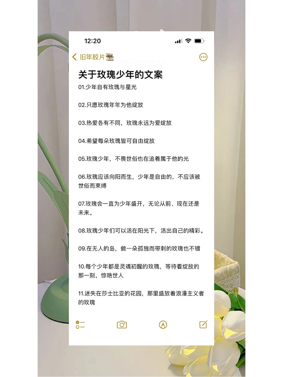 玫瑰少年文案图片