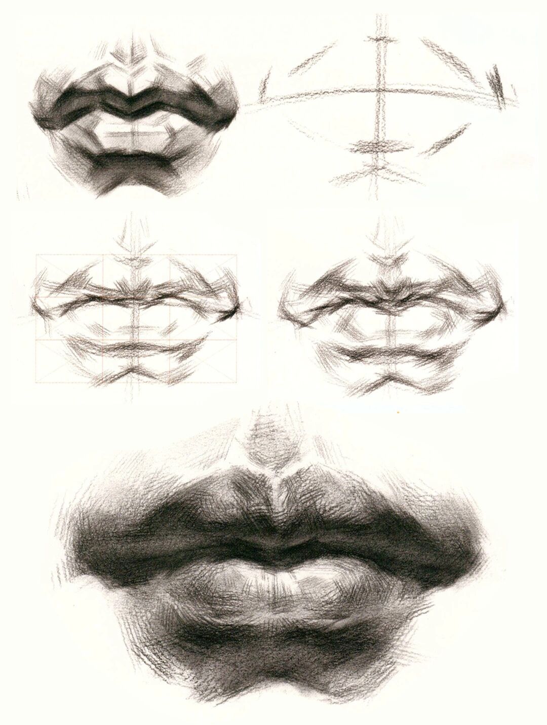 素描头像嘴巴画法步骤,超详细一篇就看懂