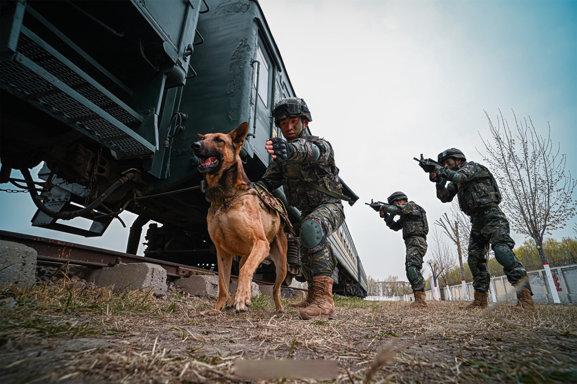看#侦察尖兵如何练就过硬本领#[得意]】近日,武警天津总队机动支队