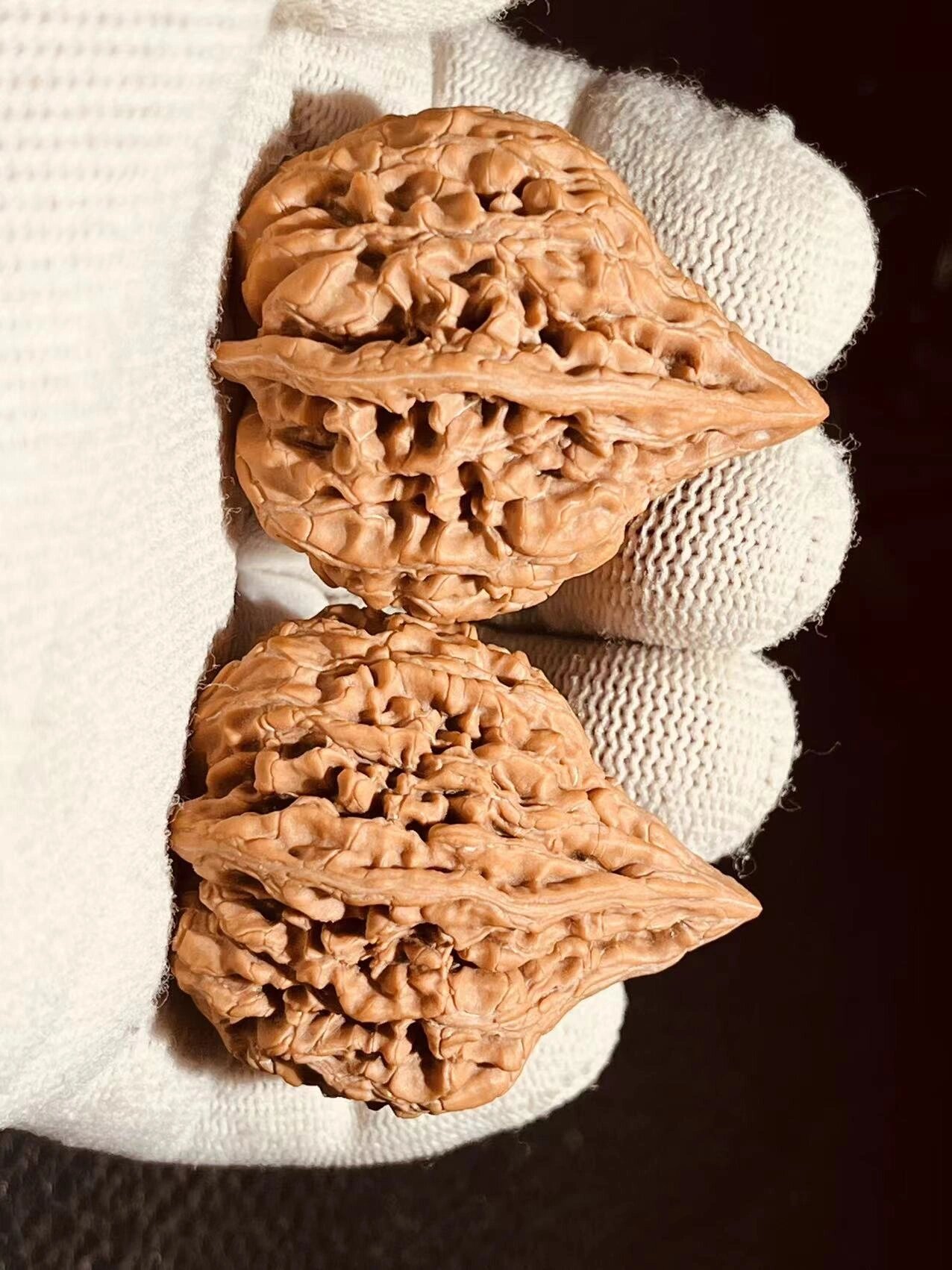 全品无修,超小众野生鸭嘴兽核桃