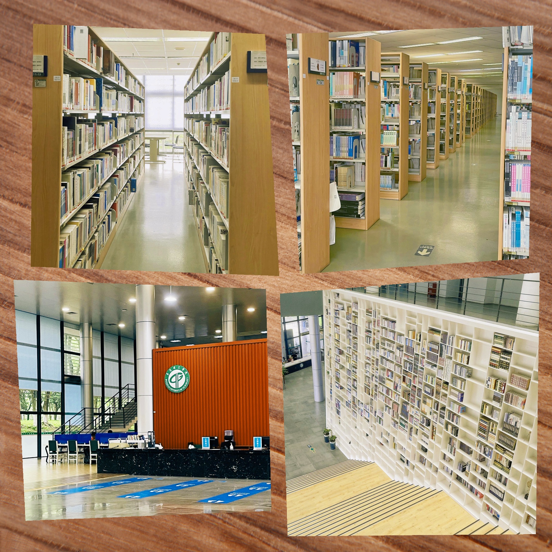 松山湖理工图书馆概览
