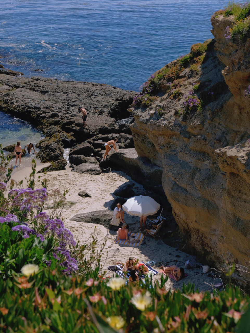 加州悬崖海岸,被繁花包围的laguna beach 来了几十次的海滩  每一次来