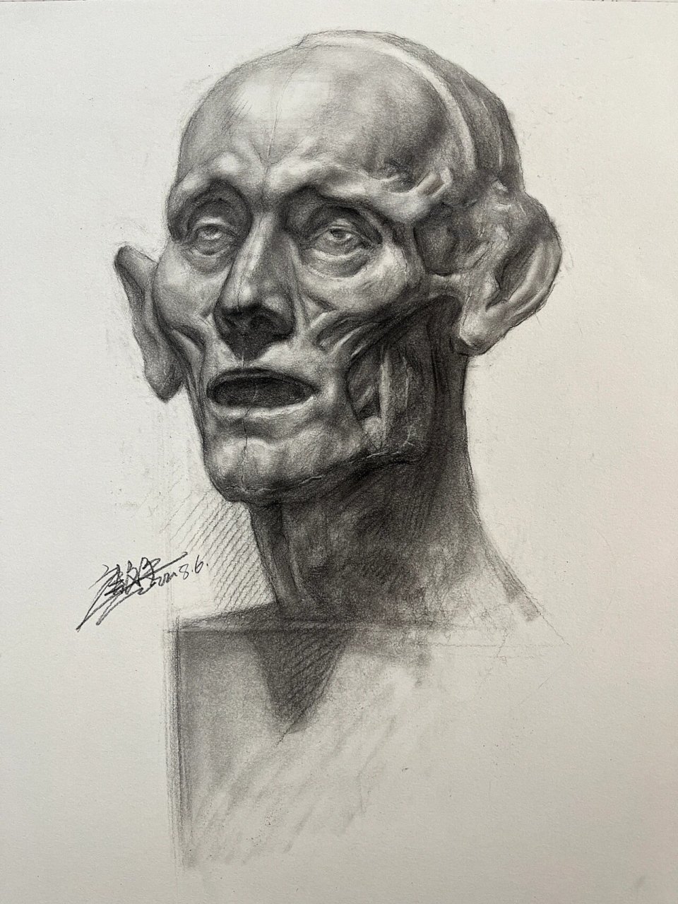 肌肉解刨素描头像分享 美术生逃避不了的扒皮人系列欢迎点赞留言,分享