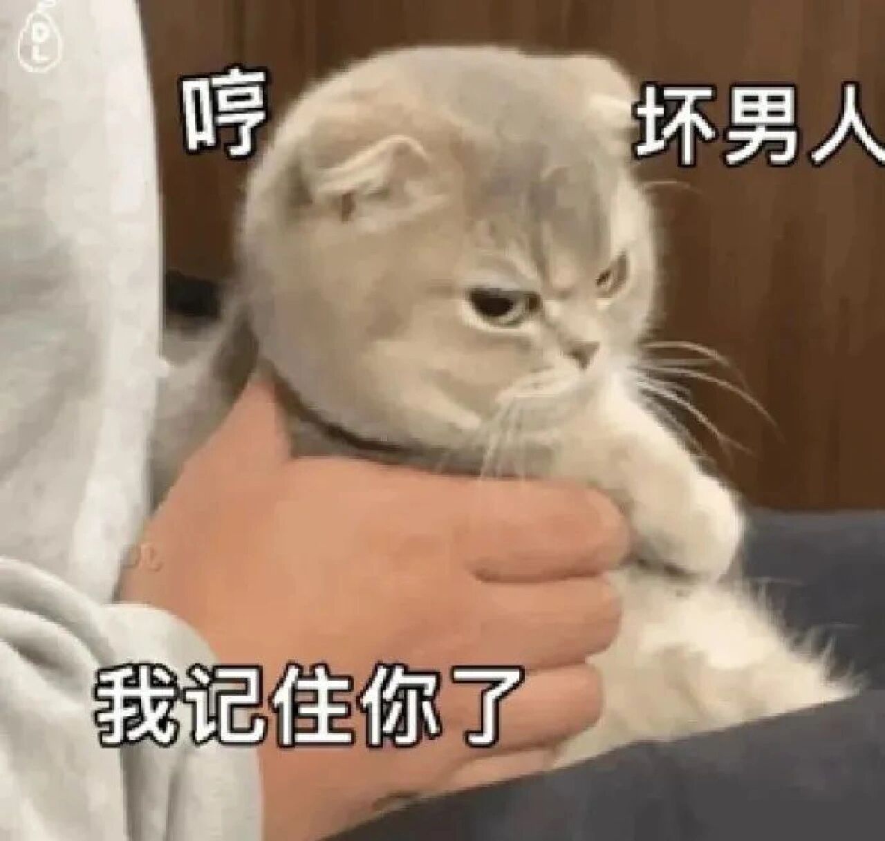 撩男朋友的表情包@一条鲤鱼啦的动态