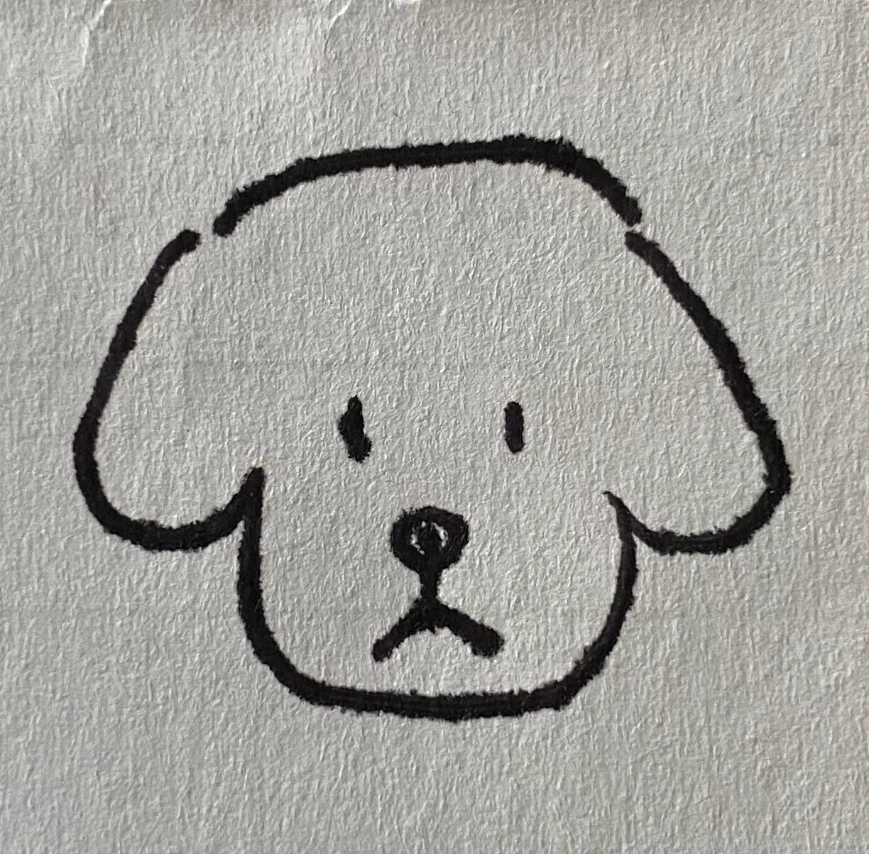 动物头部简笔画 闲来无事产生的"画作"