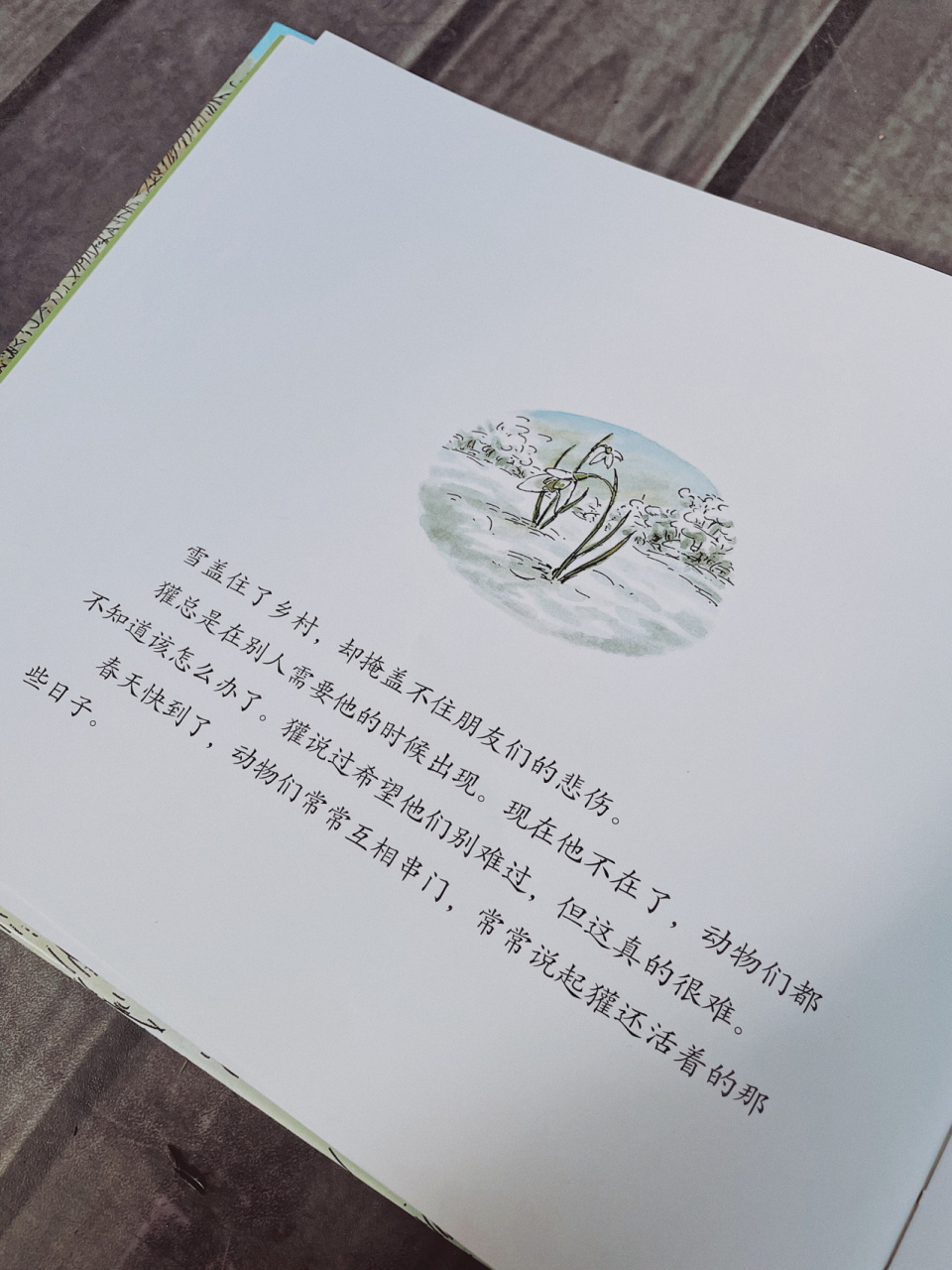 亲子阅读推荐| 《獾的礼物》— 苏珊·华莱 98书名:《獾的礼物》