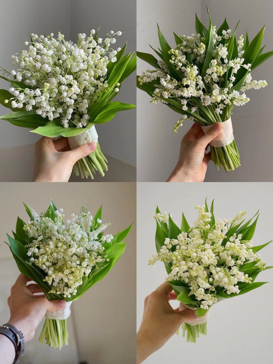 中山花店|分享最昂贵的手捧花 铃兰 铃兰花:幸福归来