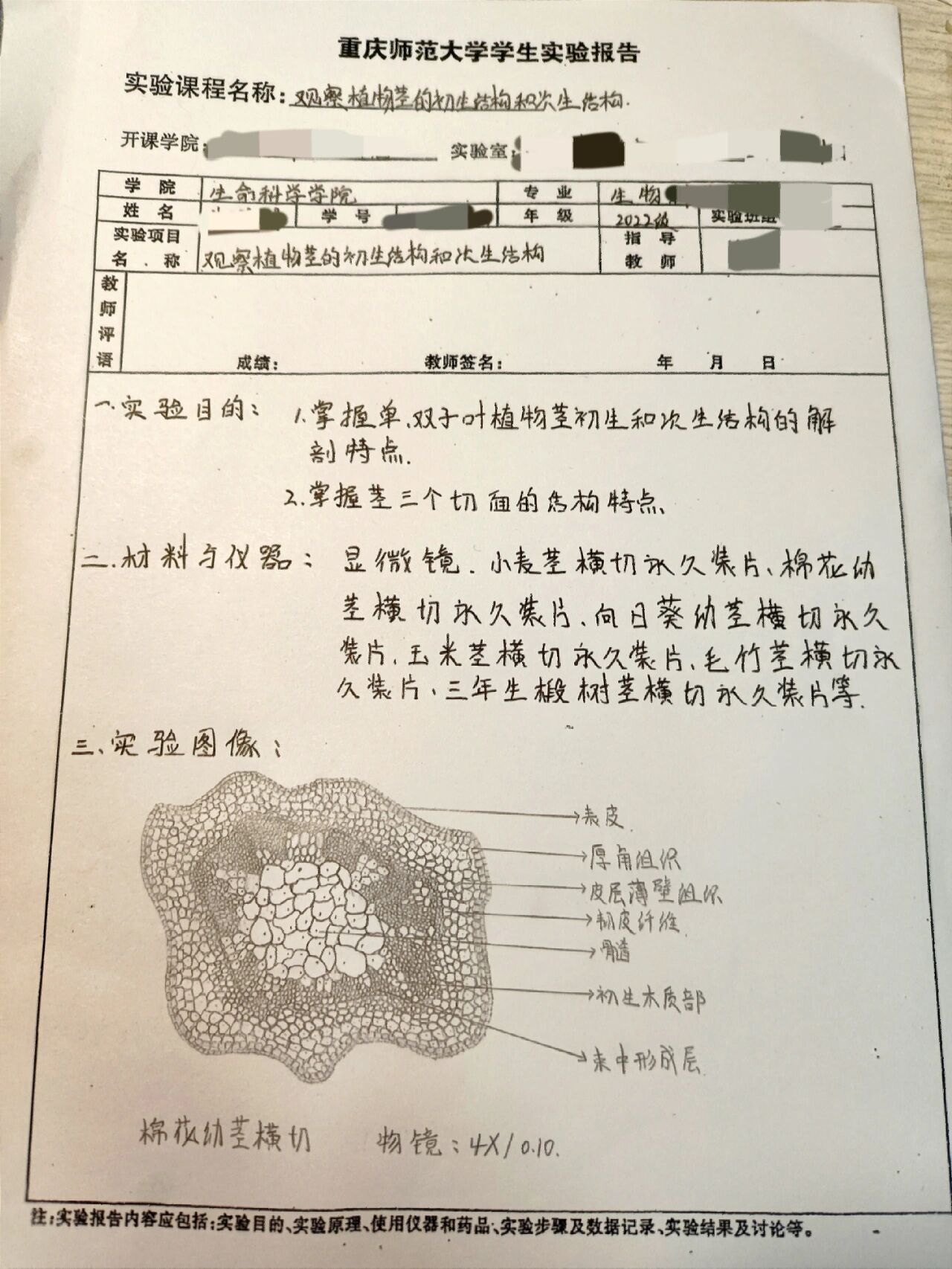 观察植物茎的初生结构和次生结构实验报告 密密麻麻是我的自尊……谁