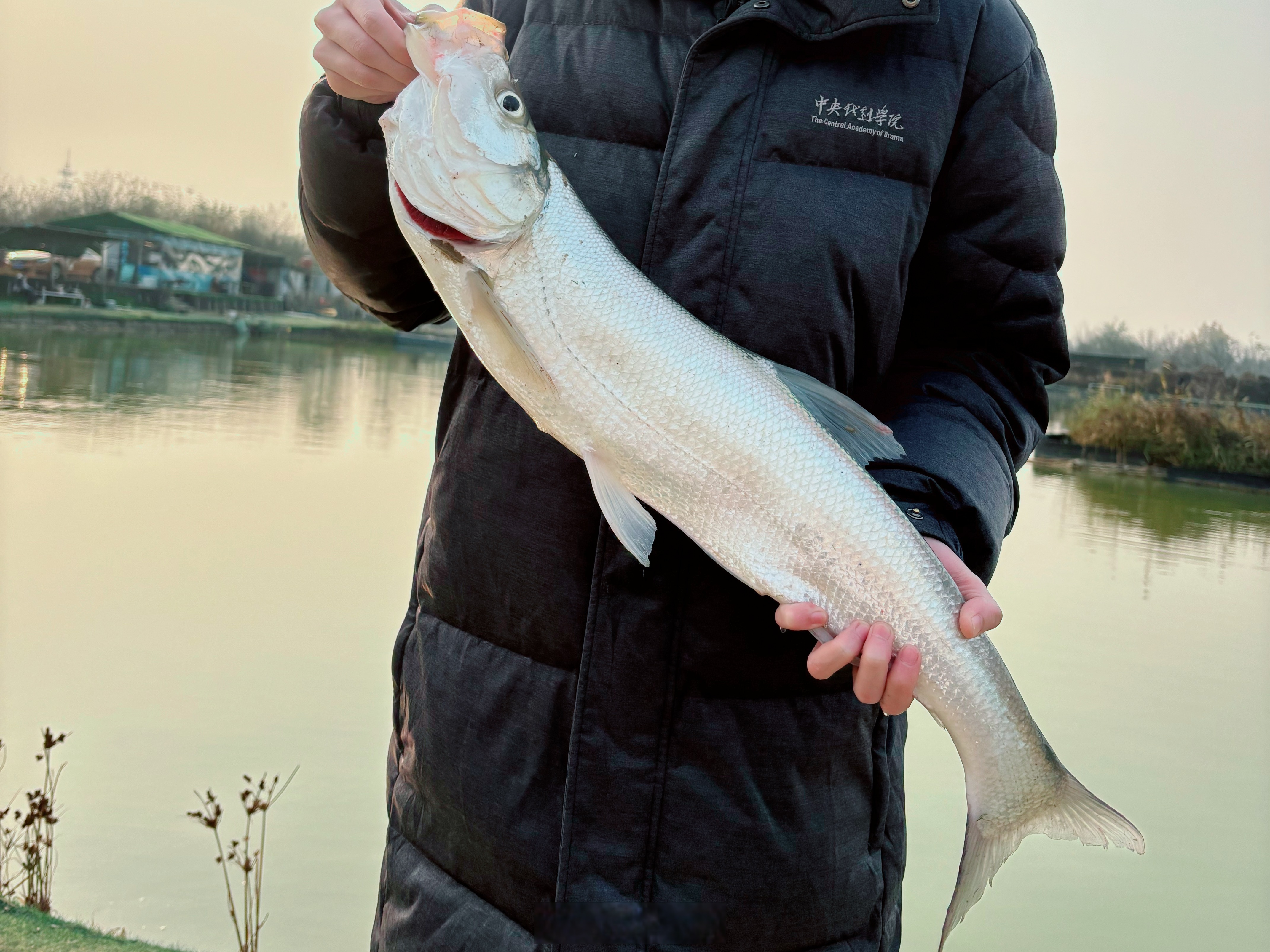 家里供暖不顶用