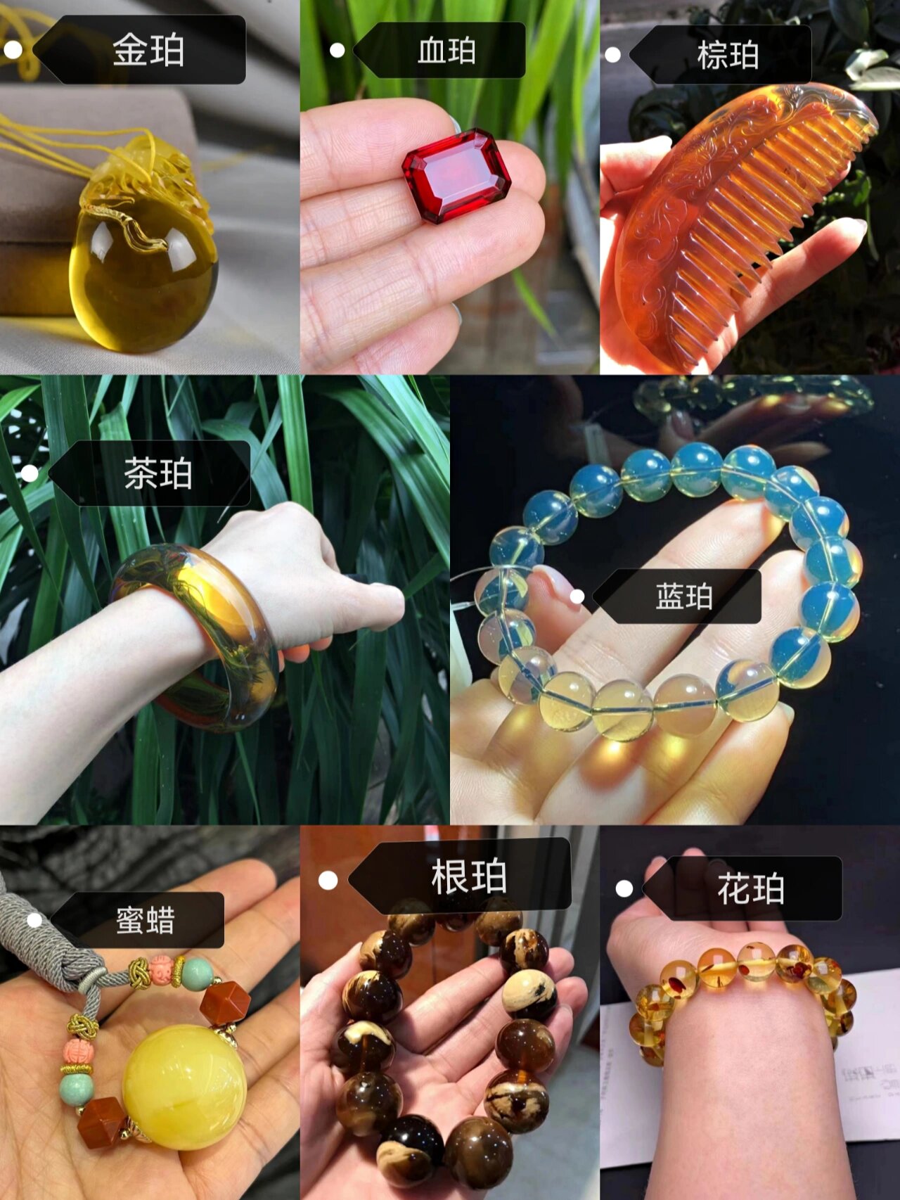 标准展示琥珀全品种分类和实物样品图
