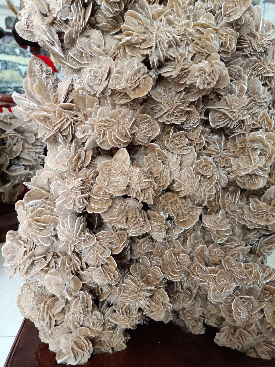 精品沙漠玫瑰奇石,高75宽54