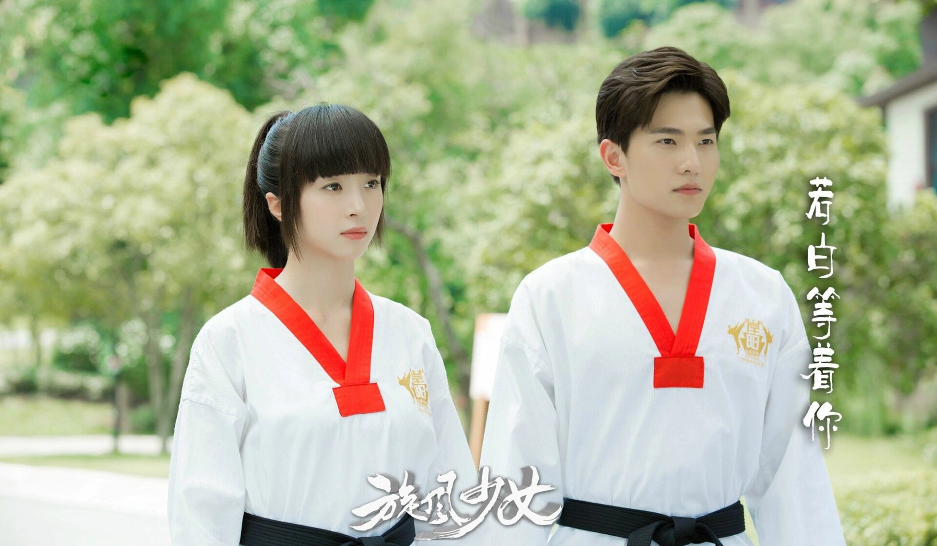 旋风少女真的很好看