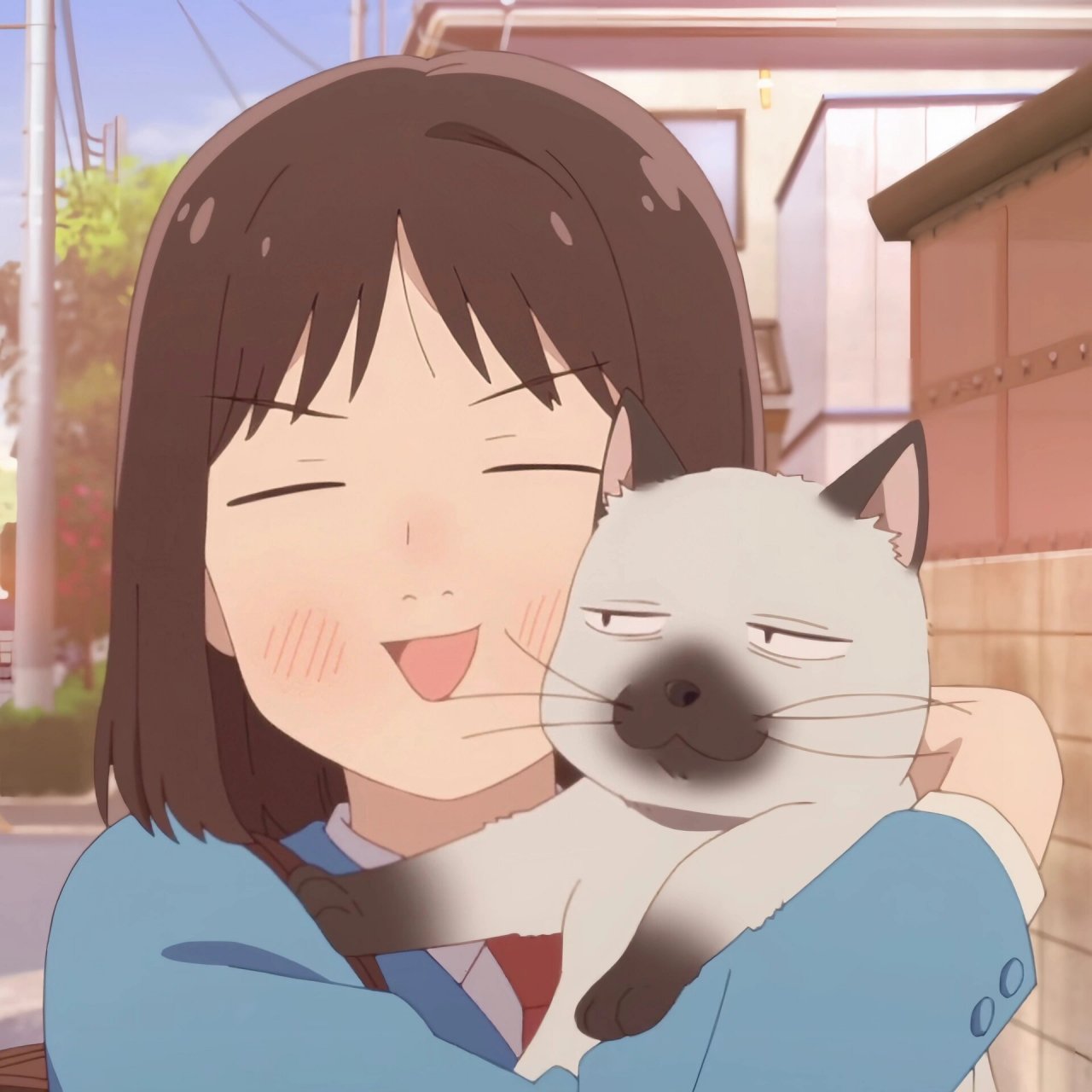 五月我的微信头像|动漫头像 这部新番真的很好看!女主好可爱!