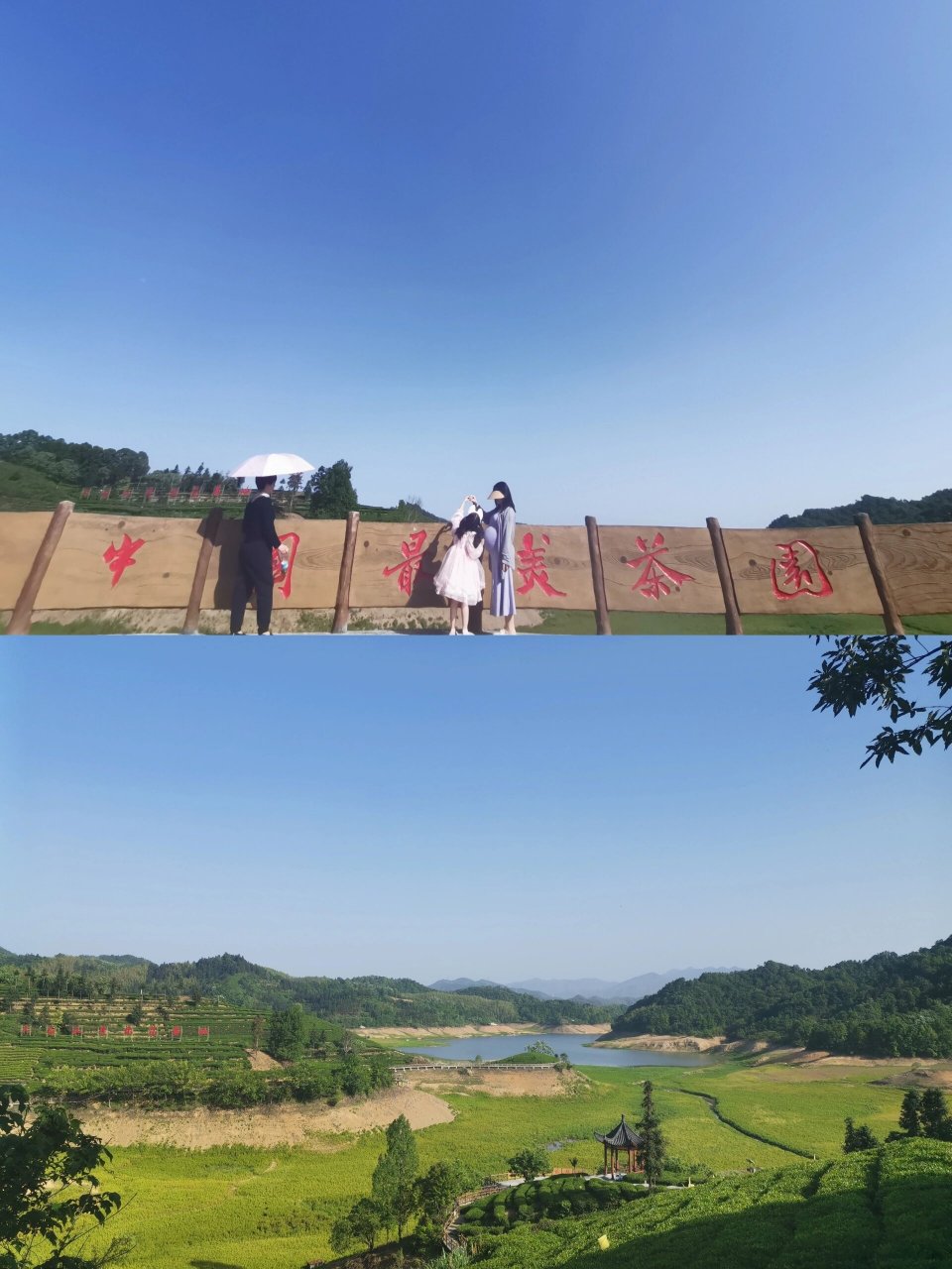 打卡最美茶谷～六安西茶谷 六安西茶谷春色满园 六安西茶谷主题公园