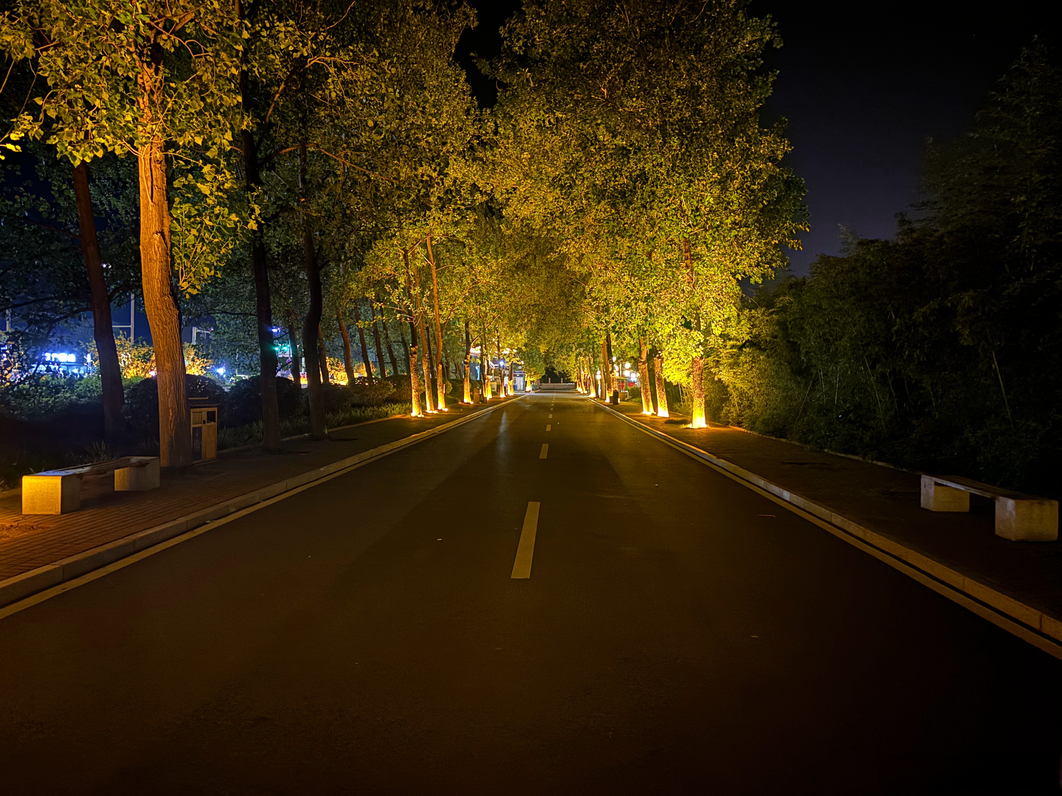 热爱才是内心本能迸发出来的动力,兴趣的极致表现,有