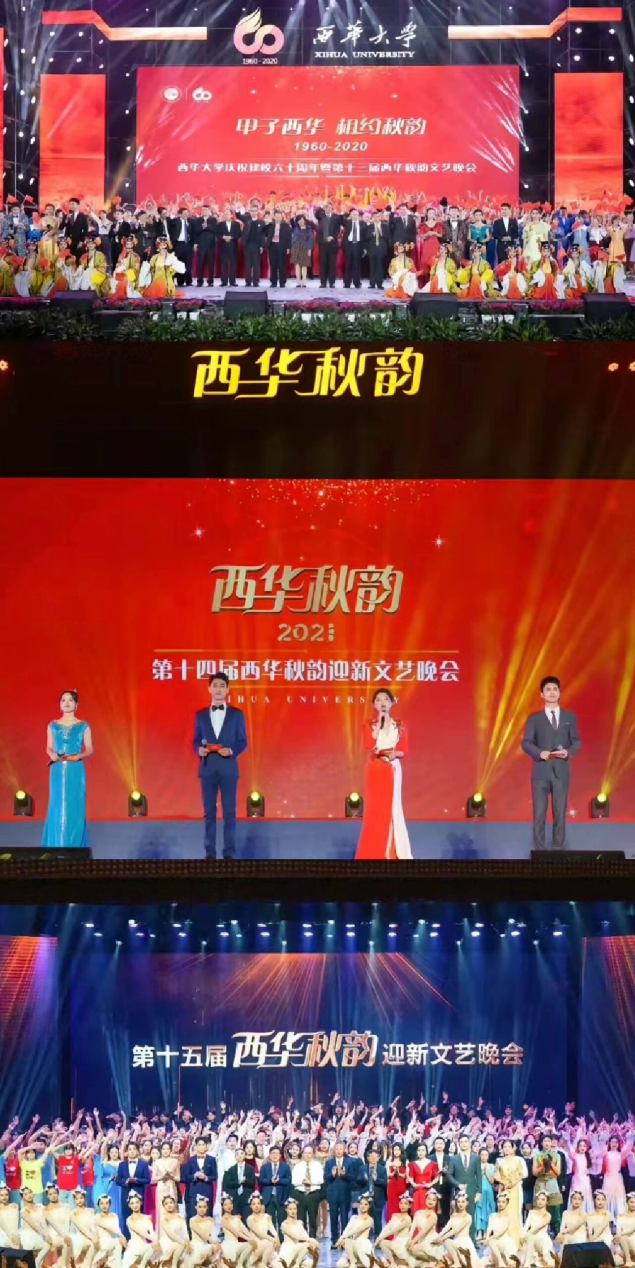 伟德国际“熊猫学者”韦伟：为丛林“隐士”建“房”