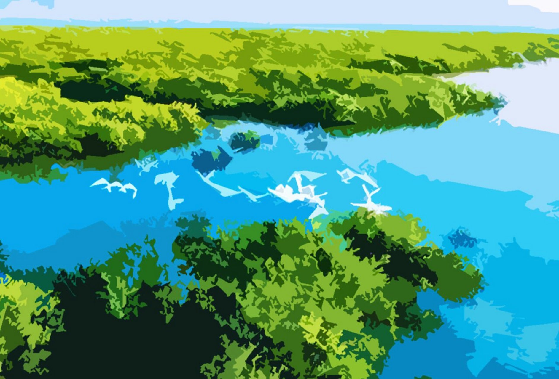 海底森林|海口·东寨港红树林 东寨港不仅拥有海洋的简素纯净 还拥有"