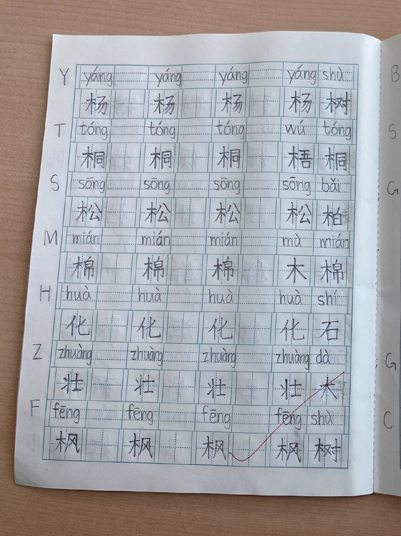 生字本格式标准图片