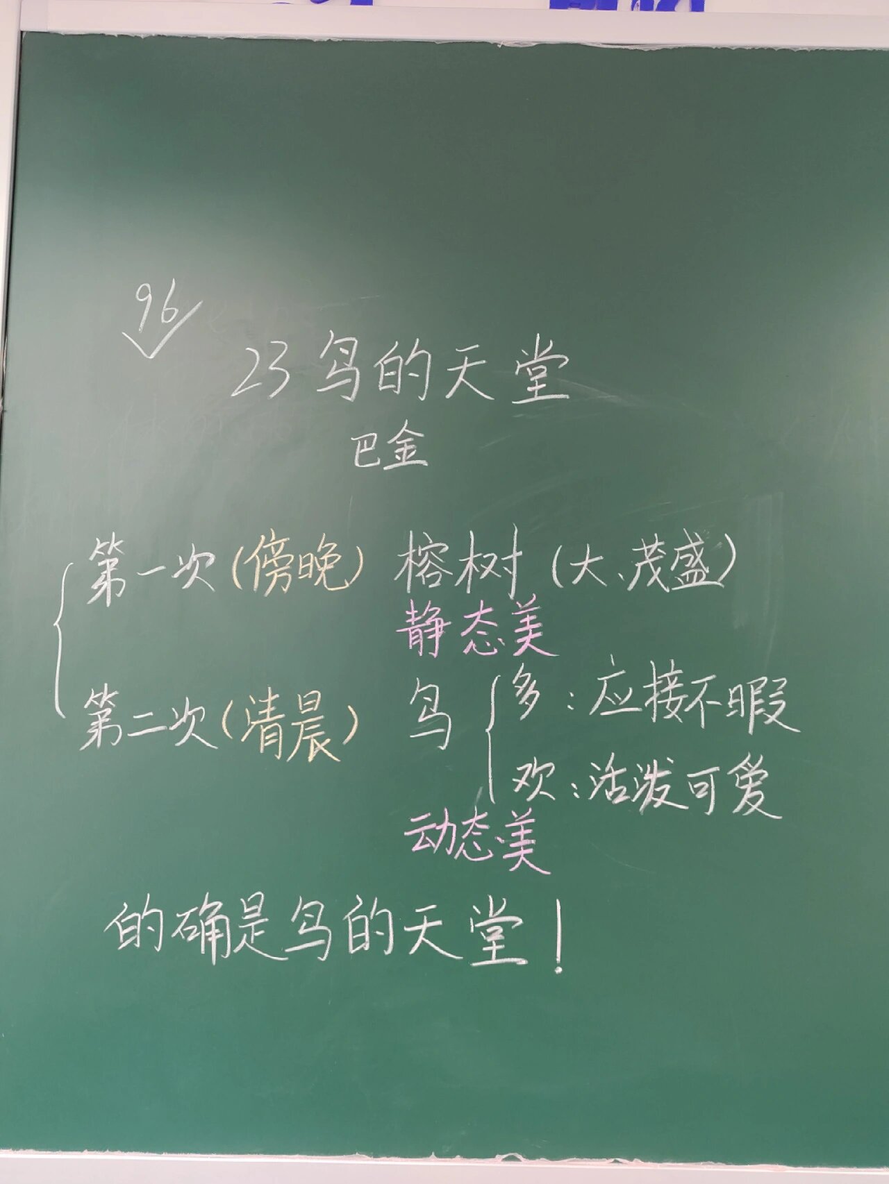 赛课板书设计23《鸟的天堂》第二课时
