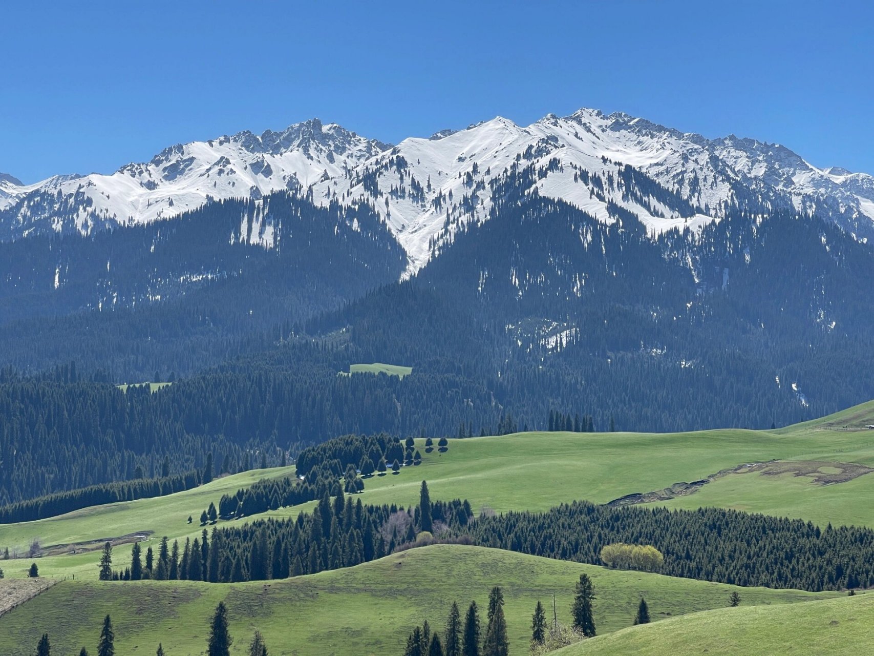 伊犁·恰西草原 伊宁周边有很多草原,有名的当然是靠近独库公路的