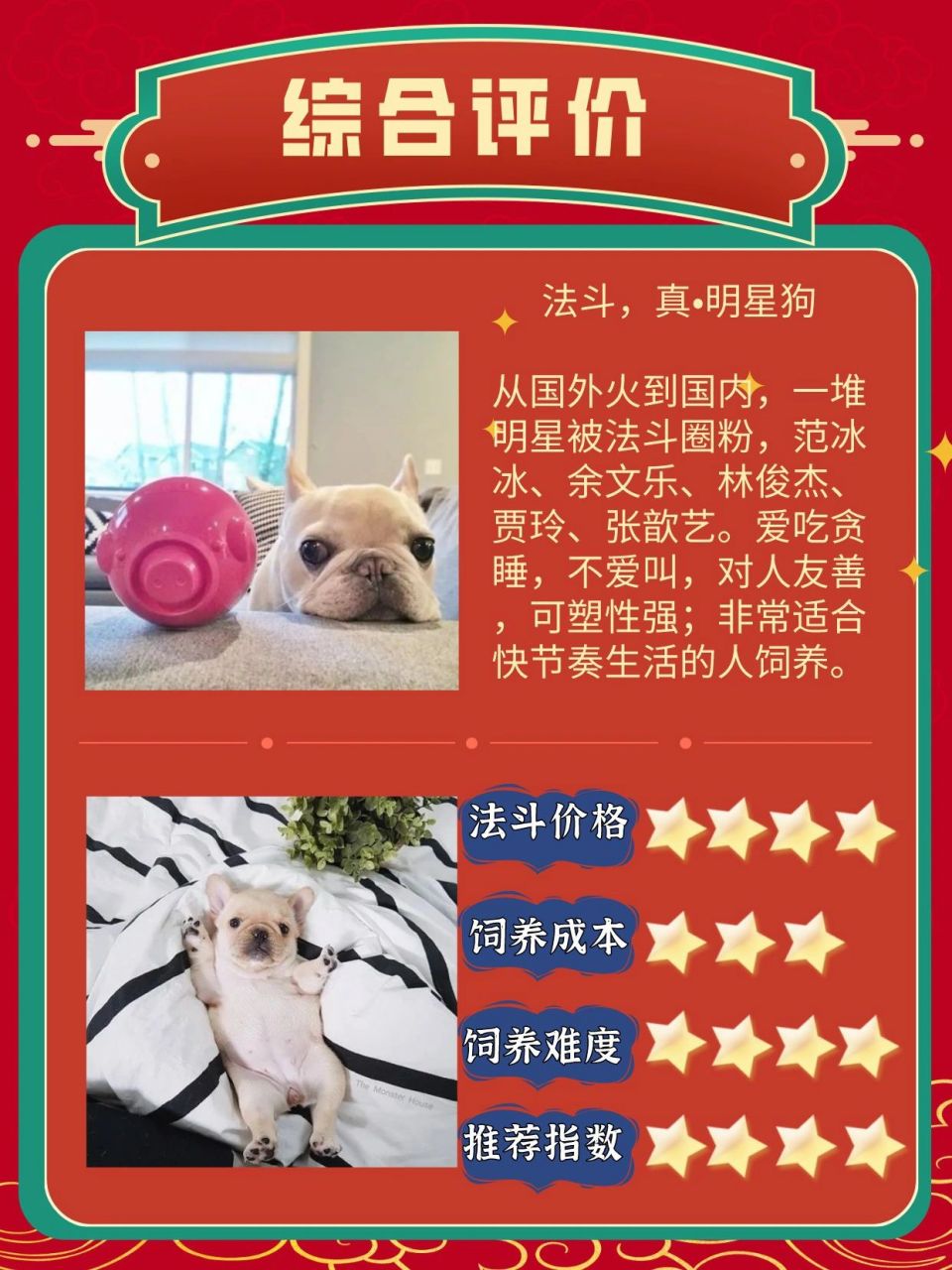 如果你想养只法斗怎么选/怎样养 法斗:全名法国斗牛犬,原产于法国,由