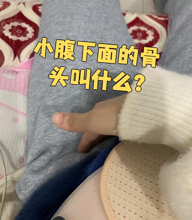小腹下面的骨头叫耻骨