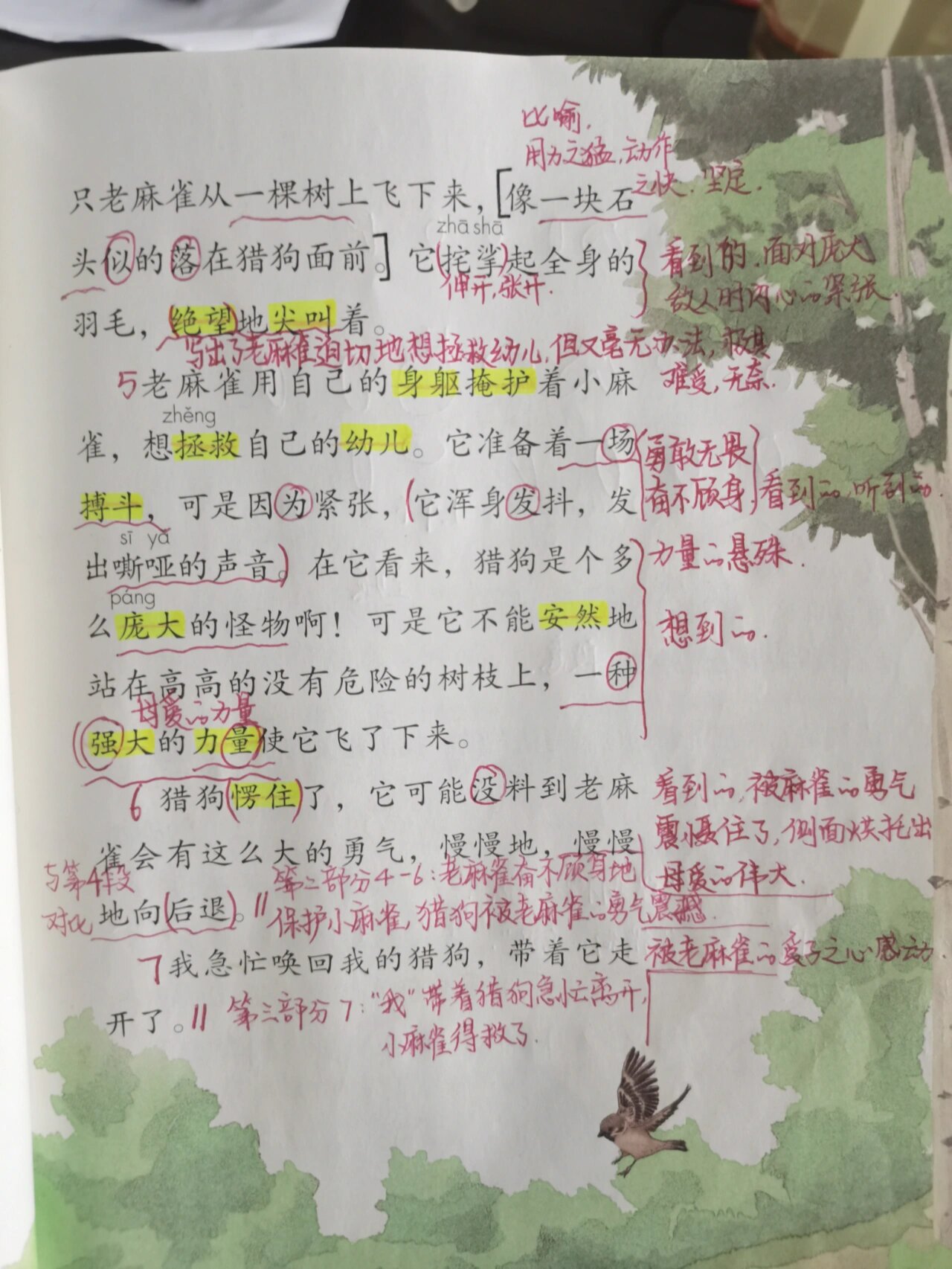 部编版四年级上语文教案第十六课麻雀