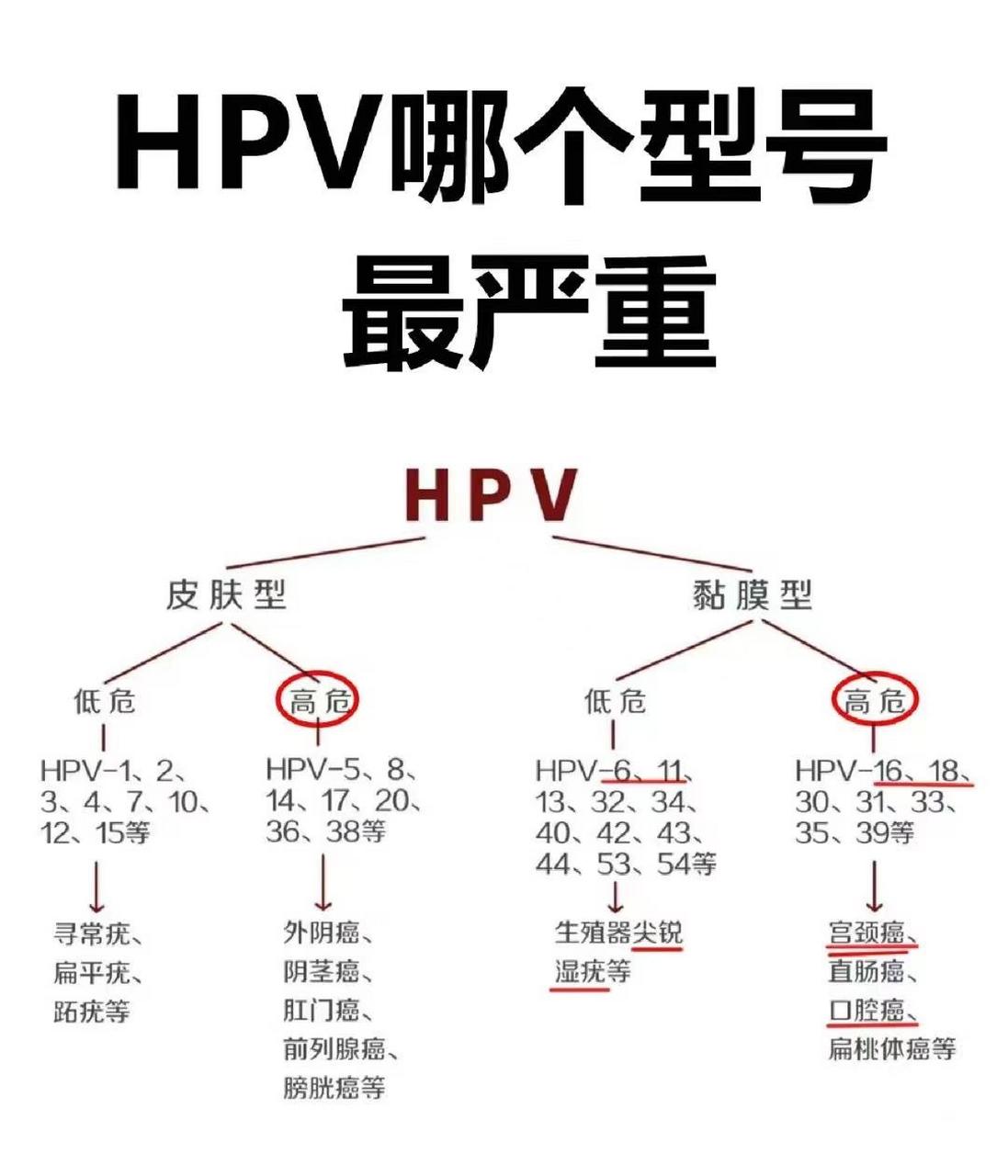 hpv数字对照表图片