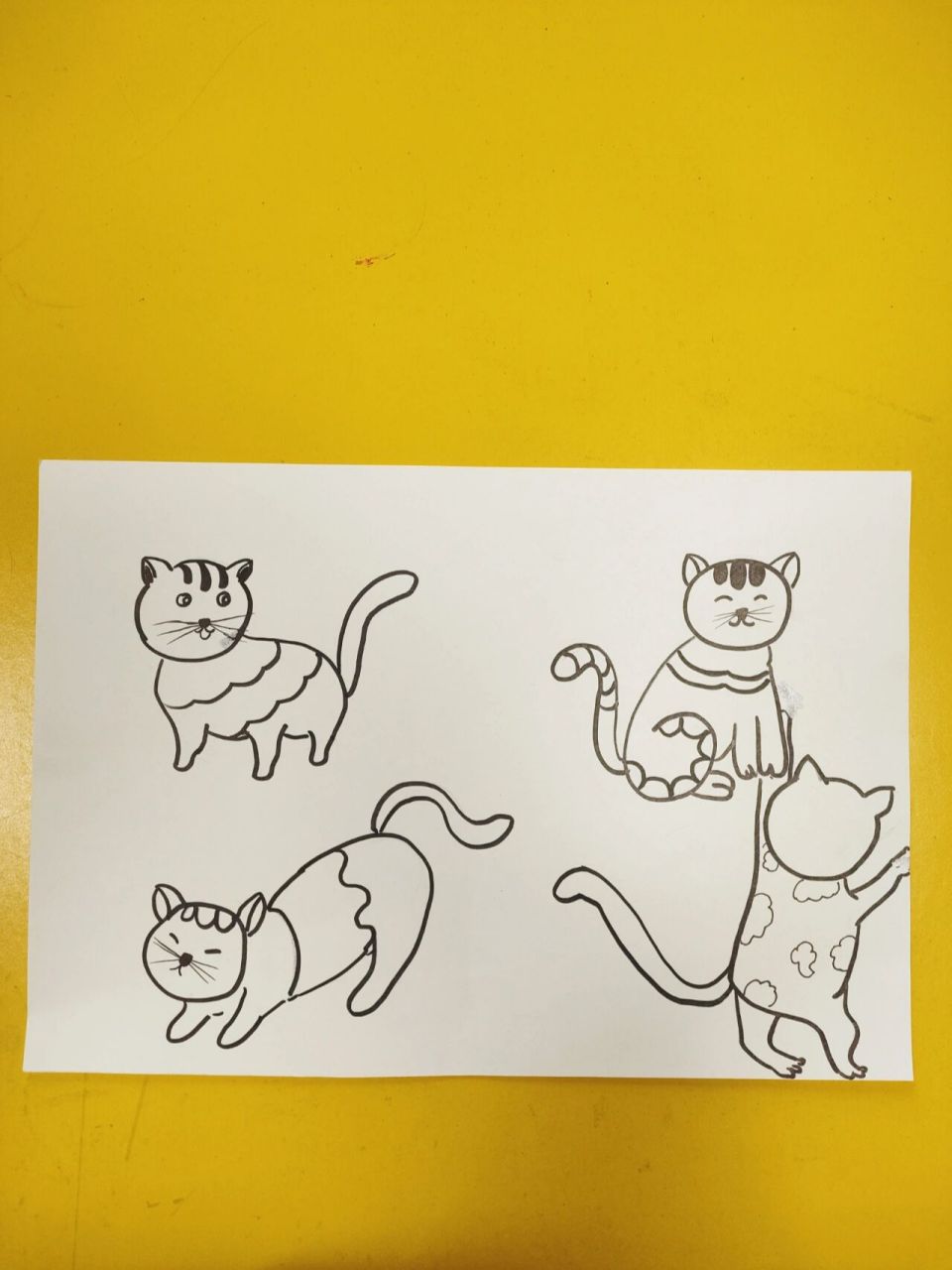 儿童画  猫咪  线描 线描装饰猫咪