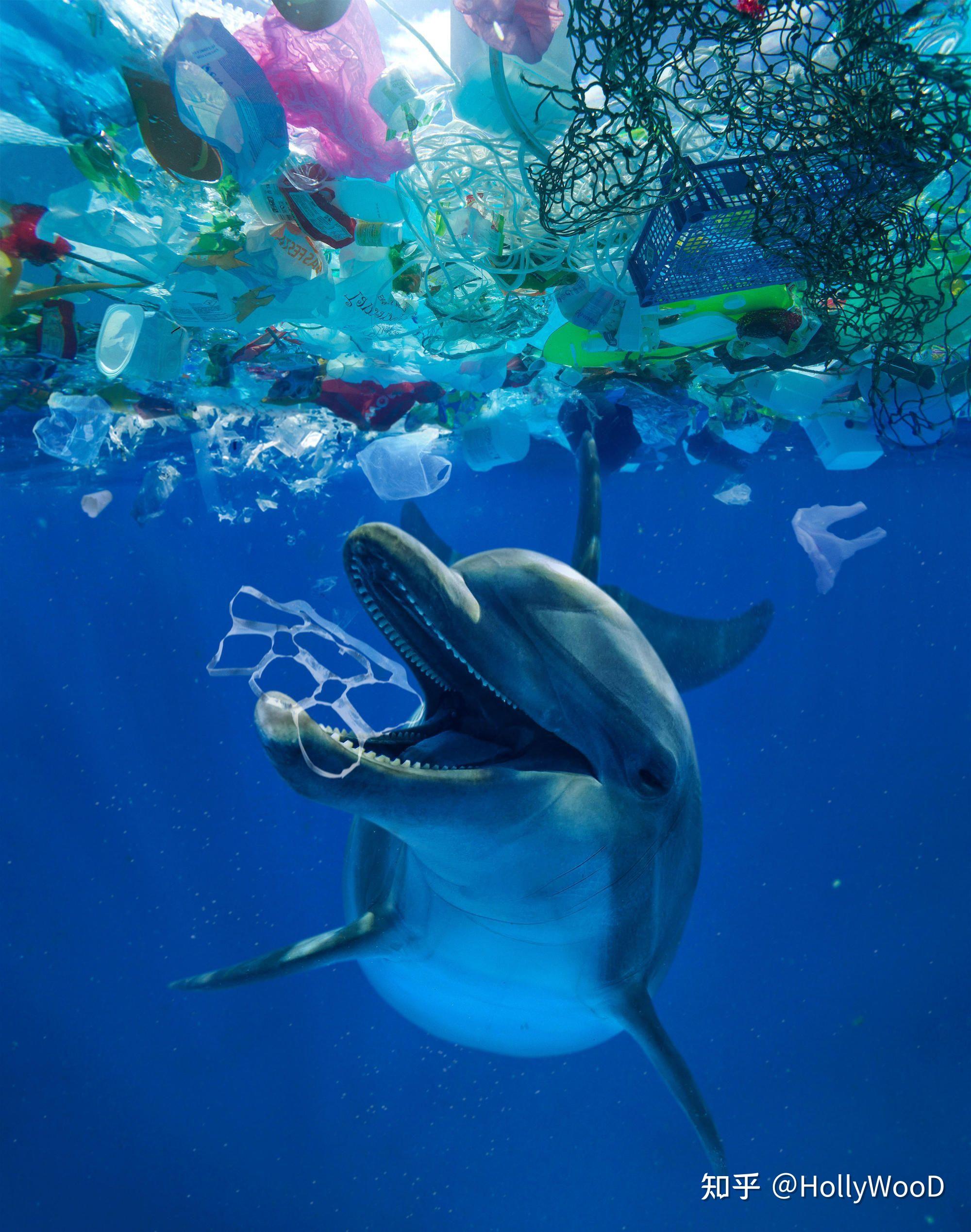 海洋垃圾是如何产生的