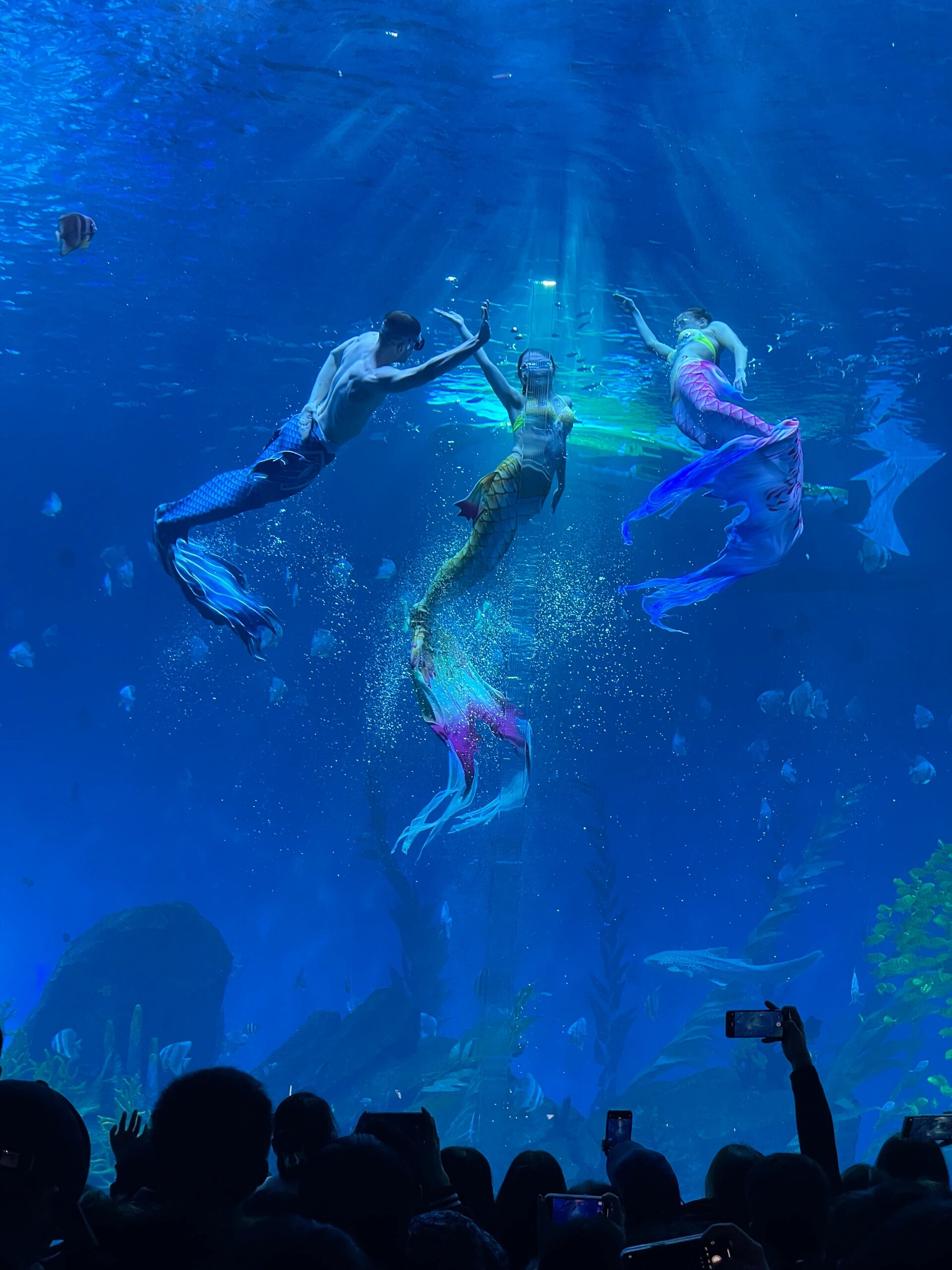 郑州海洋馆门票多少钱一张