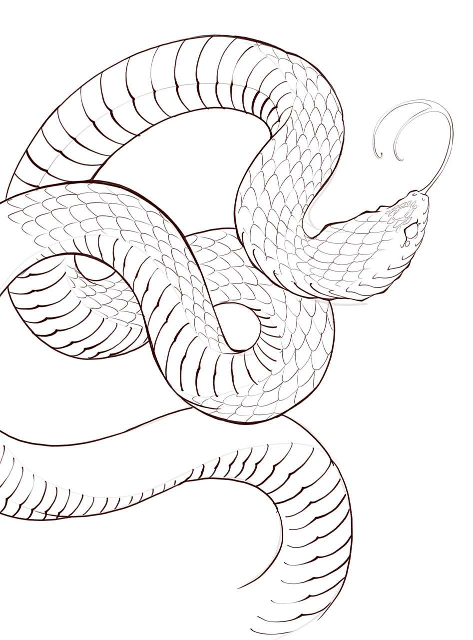 蛇的画法 一个我自己觉得 挺实用的的方法 分享给你们