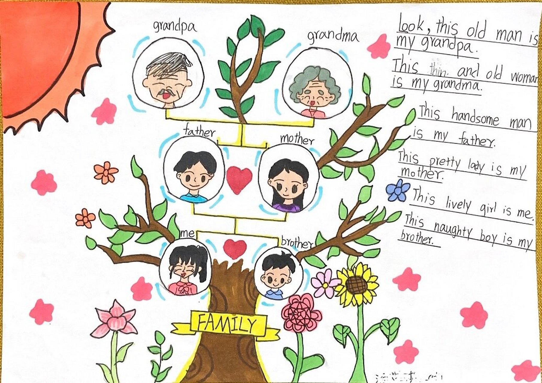 三年级英语特色作业 family tree 思维导图 family思维导图 手抄报