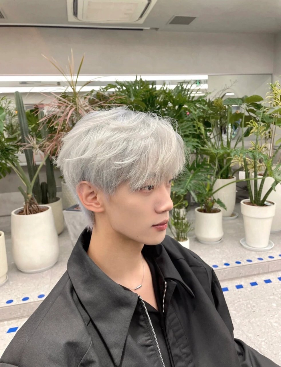 提高颜值不用打理的发色	银灰白色	 男生帅 提高颜值不用打理的发色