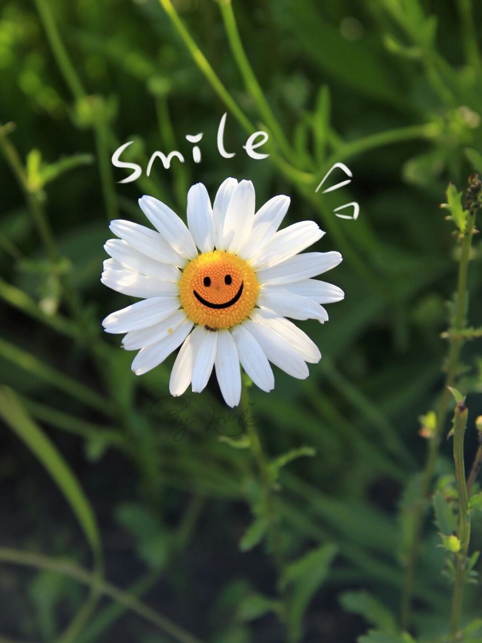 能让生活灿烂的78 除了阳光还有笑容96 笑口常开,好运自来 .