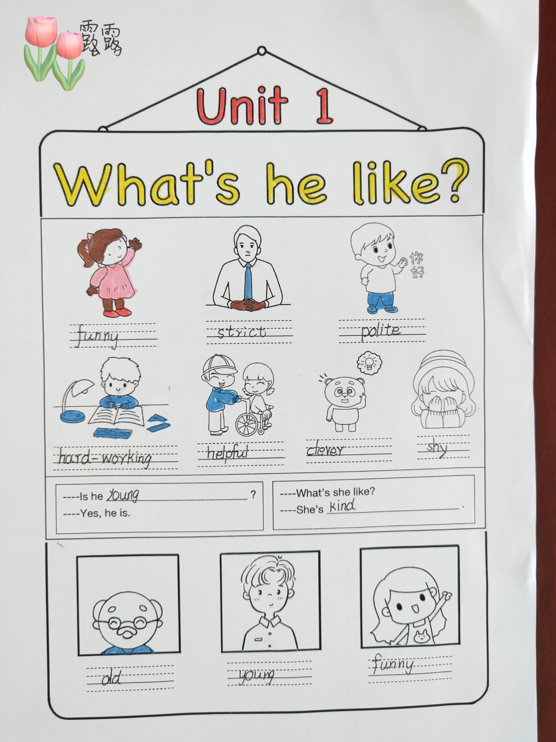 pep 五年级上册英语创意作业