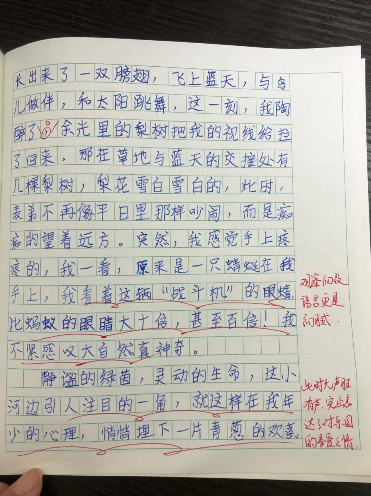 作文我的乐园200字图片