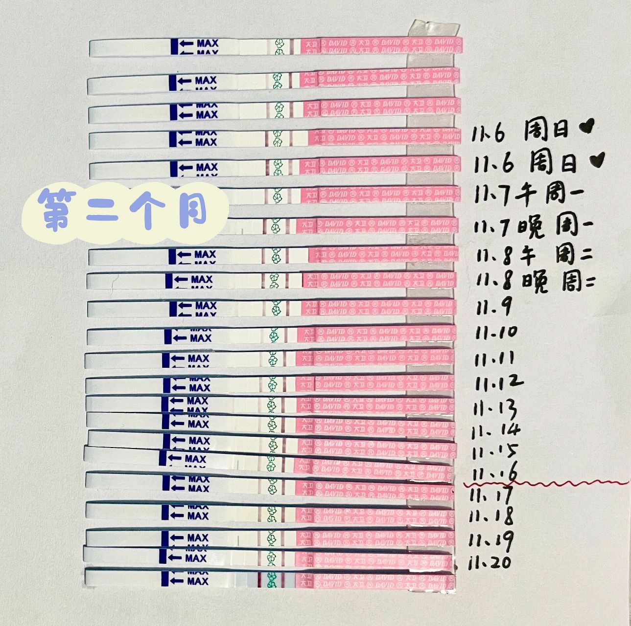 排卵试纸月变化图图片