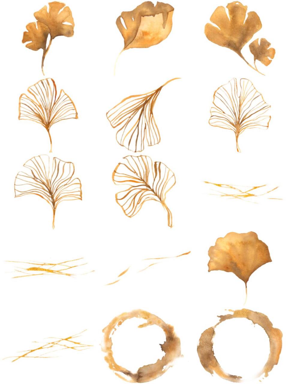 秋季银杏叶子植物装饰ai矢量印刷图案 免抠png设计请柬手账素材