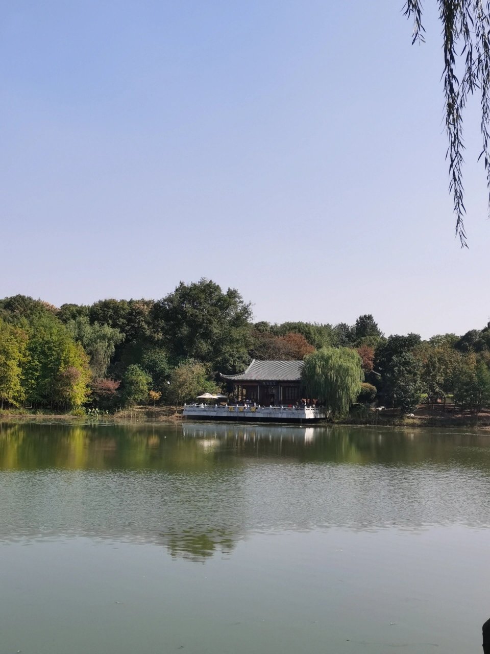 南京中山植物园(南园)#月牙堤#集章 08地铁2号线→苜蓿园(1号口 ))