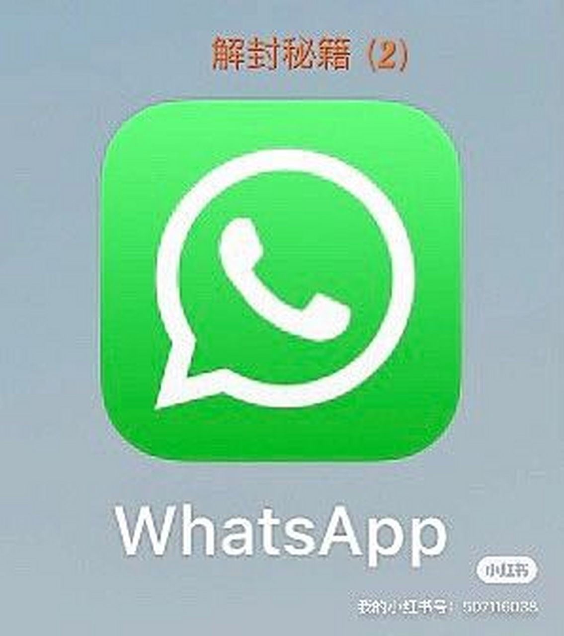 whatsapp下载-whatsapp下载安装官方最新版