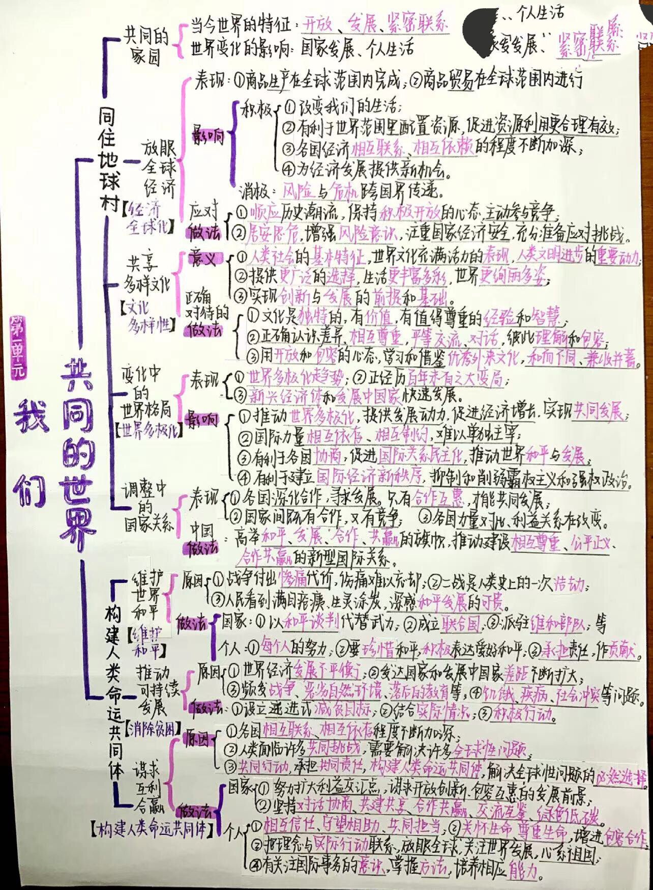 九下政治第一单元思维导图